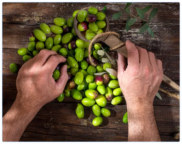 Imperia SCM para Agolives - Una herramienta de Supply Chain Planning robusta