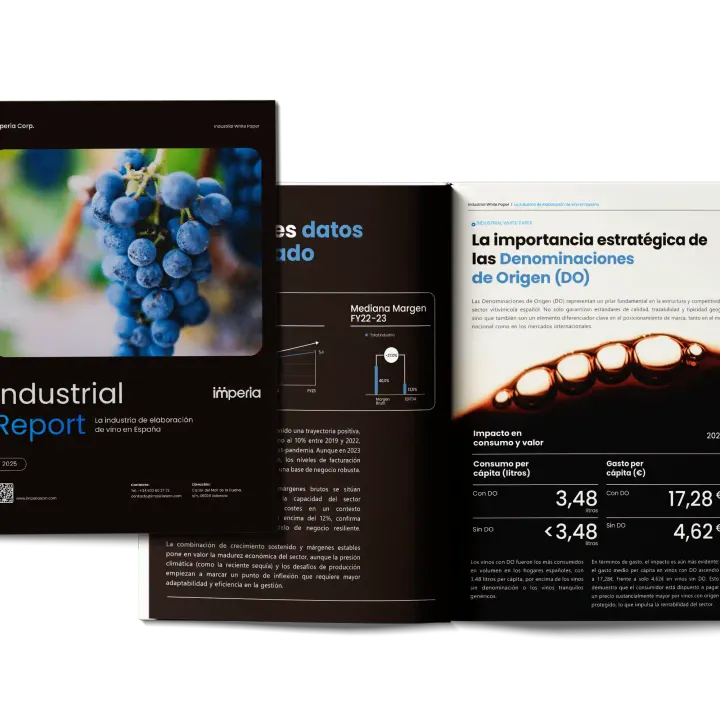 Industria de elaboración de vino en España