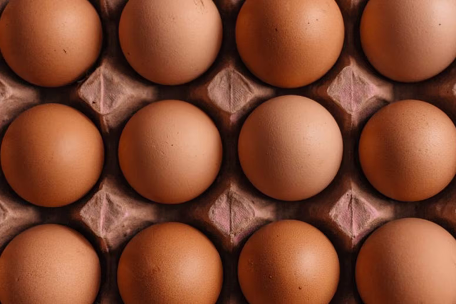 Poultry distribution: efficiency and control throughout the supply chain