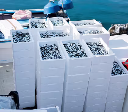 Regulatory compliance and health traceability